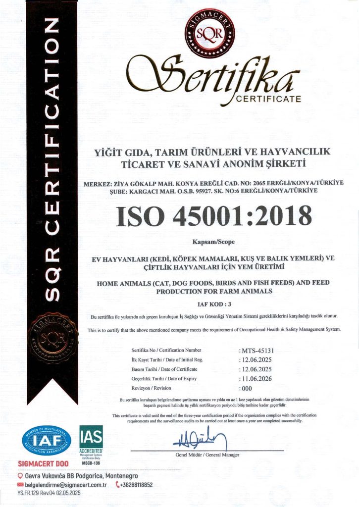 sertifikalar iso 45001